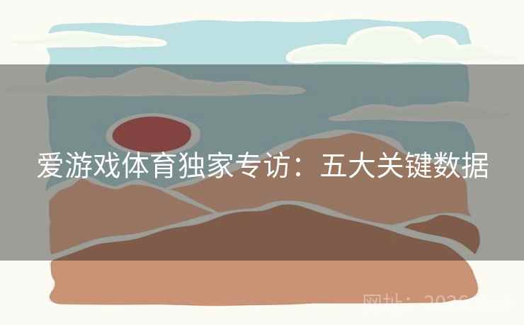 爱游戏体育独家专访：五大关键数据