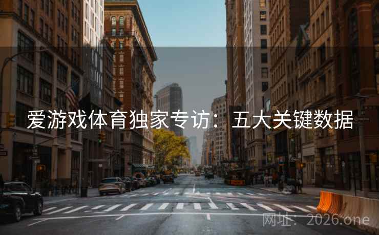 爱游戏体育独家专访：五大关键数据