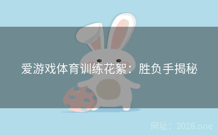 爱游戏体育训练花絮：胜负手揭秘