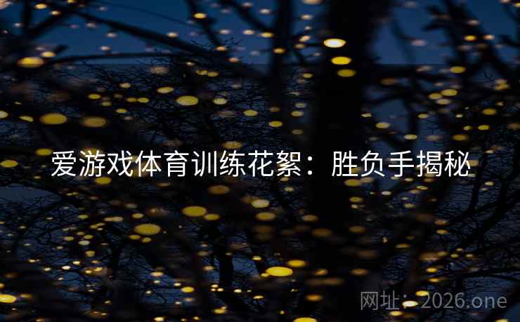 爱游戏体育训练花絮：胜负手揭秘