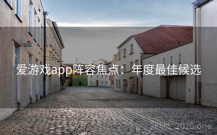 爱游戏app阵容焦点：年度最佳候选