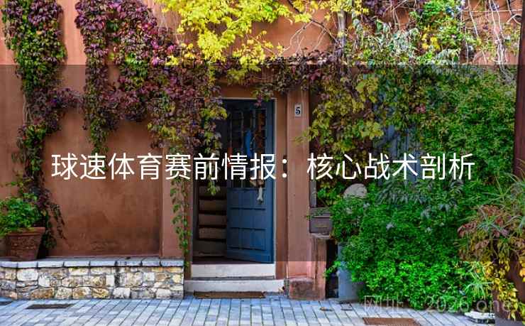 球速体育赛前情报：核心战术剖析