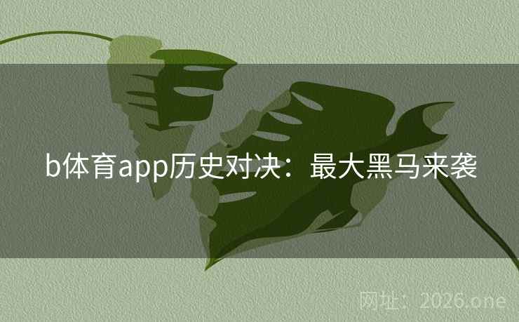 b体育app历史对决：最大黑马来袭