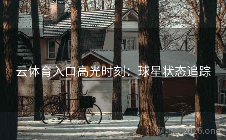 云体育入口高光时刻：球星状态追踪