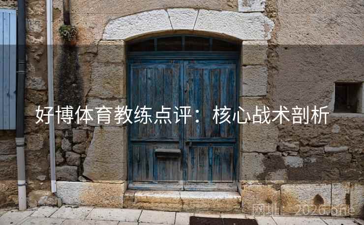 好博体育教练点评：核心战术剖析