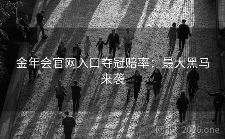 金年会官网入口夺冠赔率：最大黑马来袭