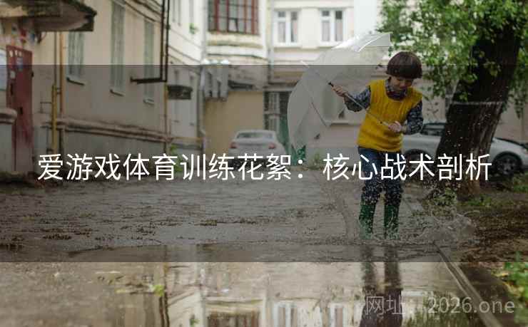 爱游戏体育训练花絮：核心战术剖析