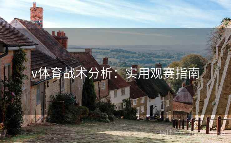v体育战术分析：实用观赛指南