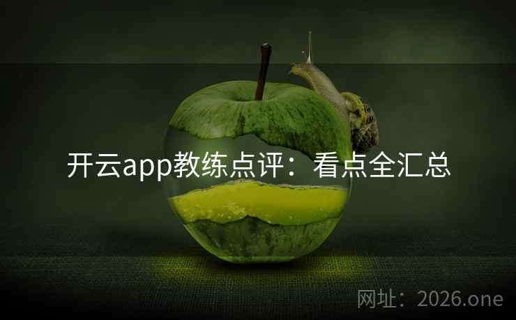 开云app教练点评：看点全汇总