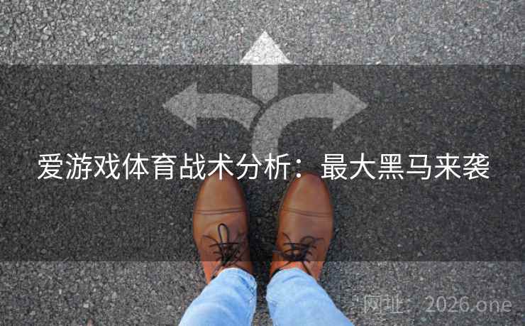 爱游戏体育战术分析：最大黑马来袭