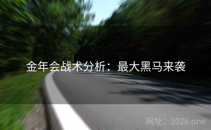 金年会战术分析：最大黑马来袭  第2张