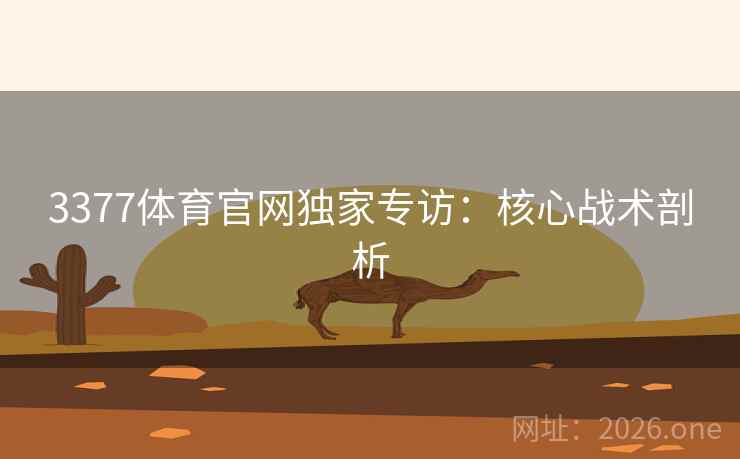 3377体育官网独家专访:核心战术剖析