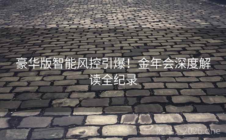 豪华版智能风控引爆!金年会深度解读全纪录