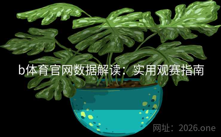 b体育官网数据解读:实用观赛指南